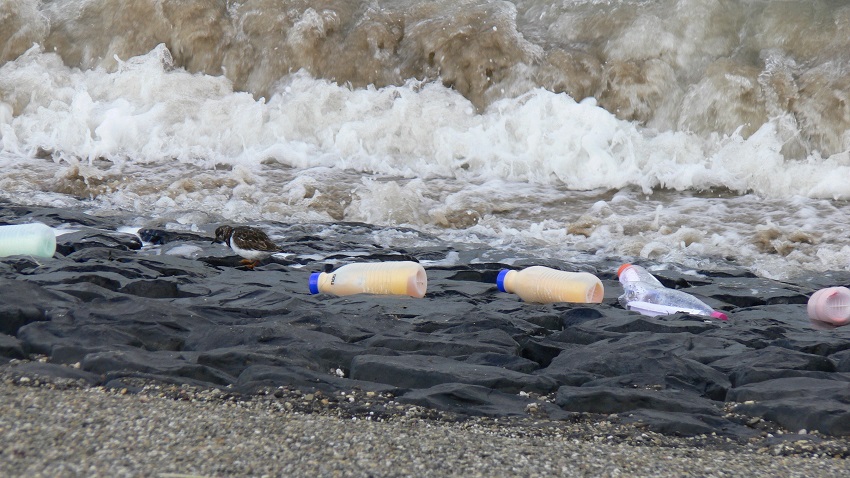 Grote opruimmiddag in het Streekbos
