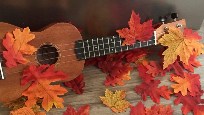 Muziek op schoot Hertenkamp