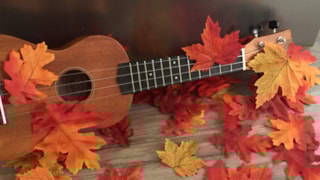 Muziek op schoot Hertenkamp