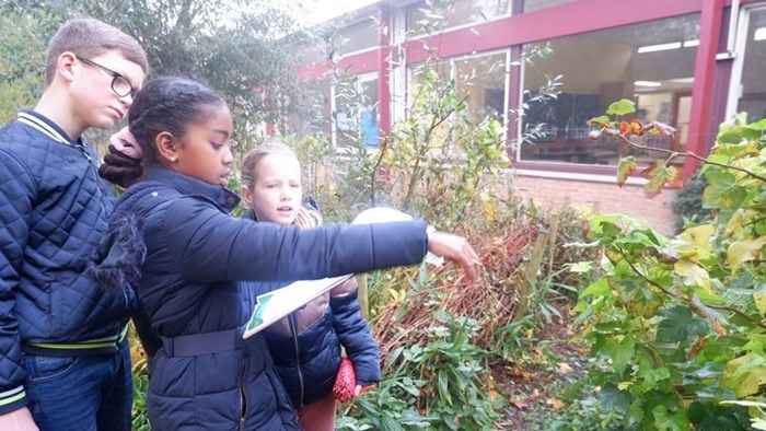 Leerlingen Pontonnier schoolpleinsafari