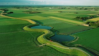 Omringdijk