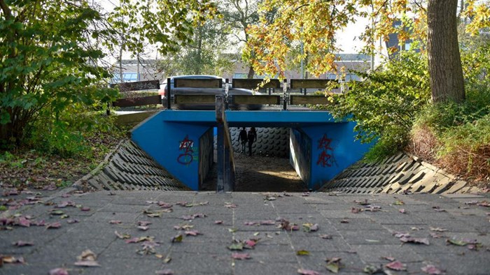 Tunnel bij de tweemaster1