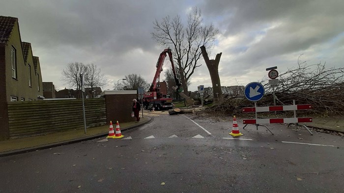 Bomen Westerdijk gaan om 1