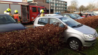 Betuurder parkeert in heg2