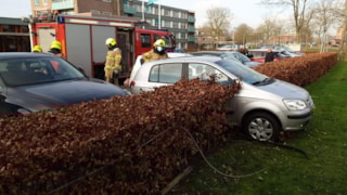 Betuurder parkeert in heg4