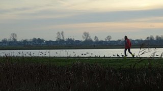 Westfriese omringdijk