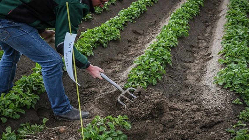 Onderzoek huisvestingslocaties buitenlandse werknemers in de Kop van Noord-Holland op stoom