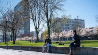 Mensen buiten op een muurtje