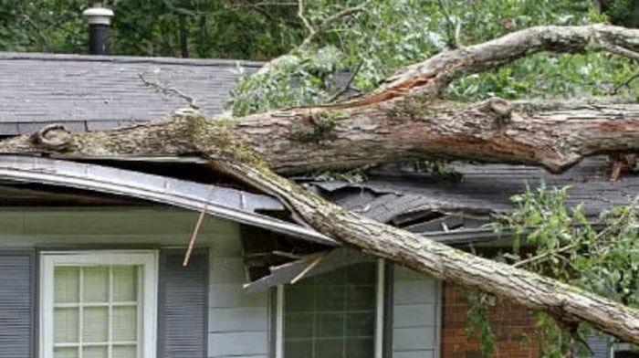 Stormschade boom op woning