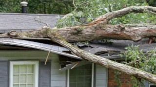Stormschade boom op woning