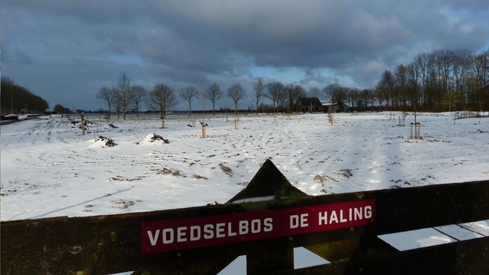 Voedselbos De Haling2