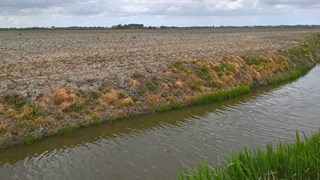 Hoogheemraadschap start toezicht teeltvrije zones