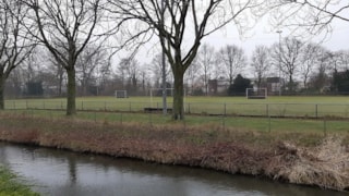 Hockeyvelden Nieuwe Steen