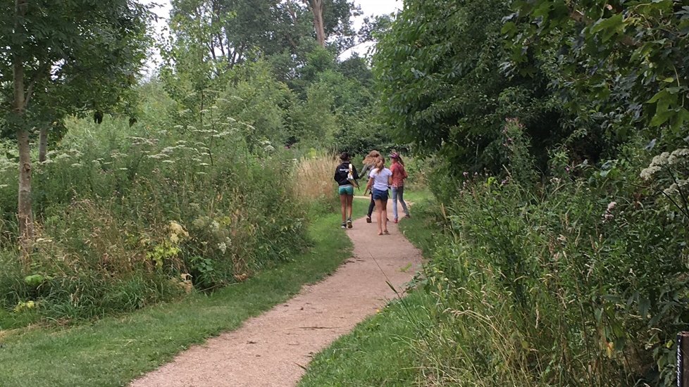 Ontdek de geheimen van het Boezelbos