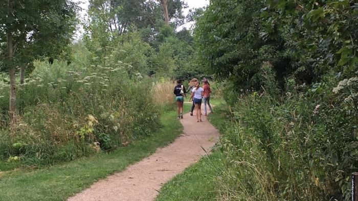 Geheimen van het Boezelbos