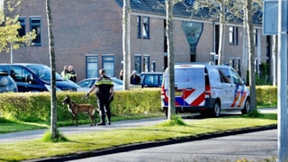 Steekincident in Zwaag2