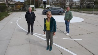 Parkeren bij Westfriezen