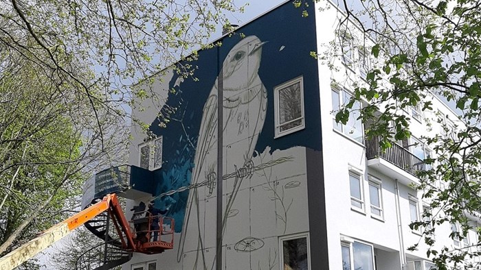 Westfriese Hof op de eerste flat schildert Collin van der Sluijs de oeverzwaluw naar rechts, de toekomst in kijkend 2