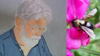 Sjaak Grosthuizen leest zijn column_bloemetjes en de bijtjes