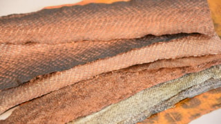 Netwerk Zuiderzeecollectie_Leer van vis_Verschillende gelooide vissenhuiden_educatief materiaal.JPG