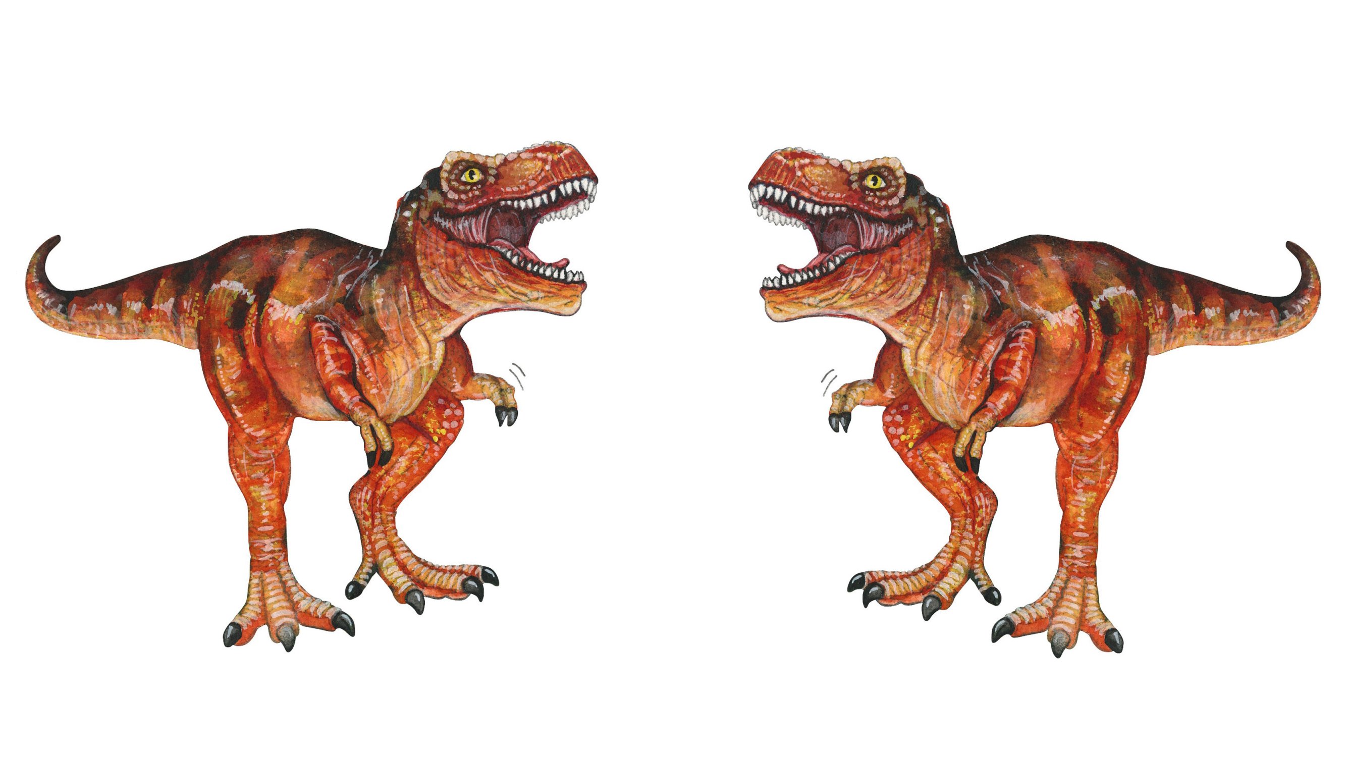 Dino’s in Hertenkamp Enkhuizen