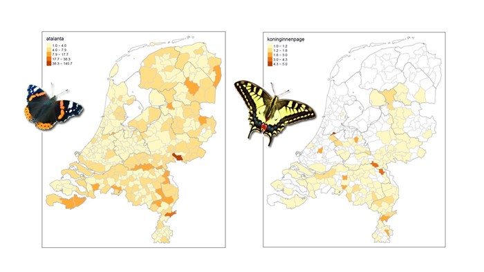Vlindertelling per regio