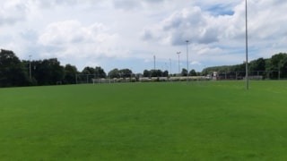 Zwaluwencomplex 18 juni 2020 A