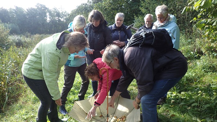 Natuurgidsen in spe