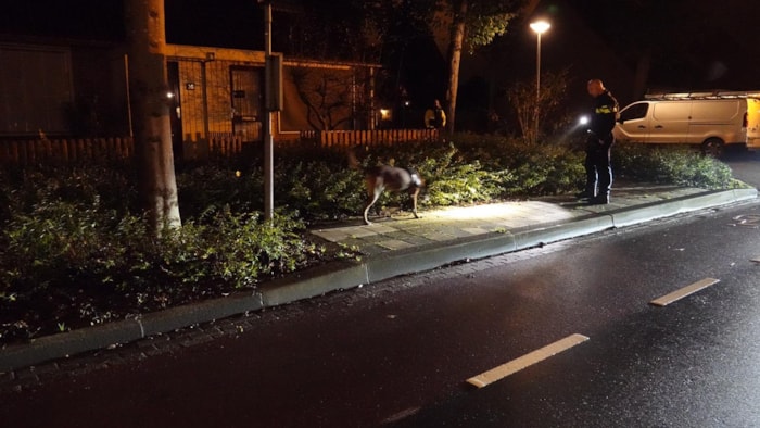 Vrouw aangereden in Enkhuizen2