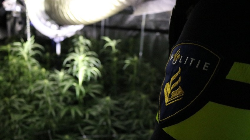Twee hennepkwekerijen opgerold