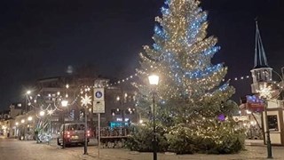 Kerstboom op Roode Steen