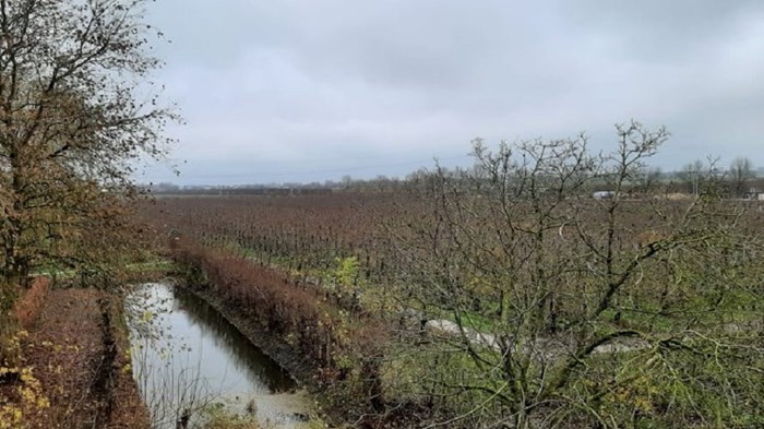 Perengaard achter de kerk Zwaagdijk West