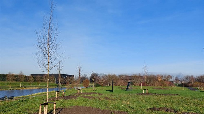 500 extra bomen in Hoorn