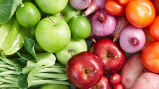 Pisa Webinar Voedingsproblemen