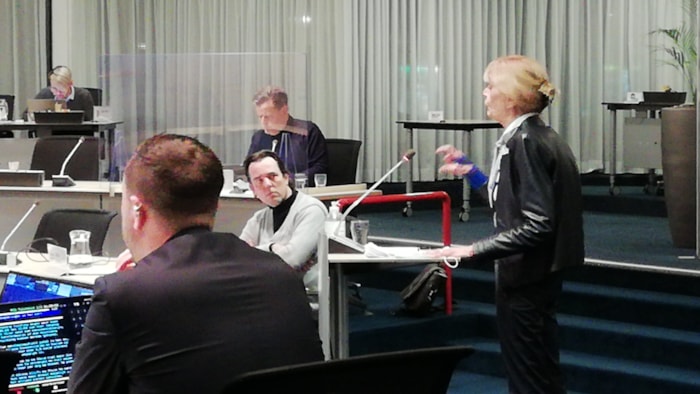 Inspreker bij ontwerpbestemmingsplan stationsgebied