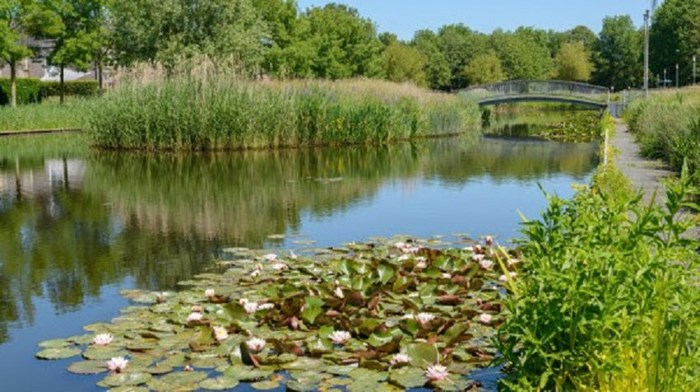 Natuur met water