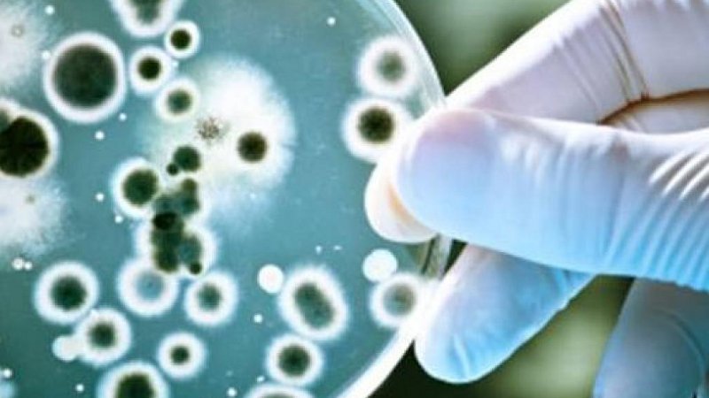 Resistente VRE-bacterie aangetroffen op verpleegafdeling Dijklander Ziekenhuis in Hoorn