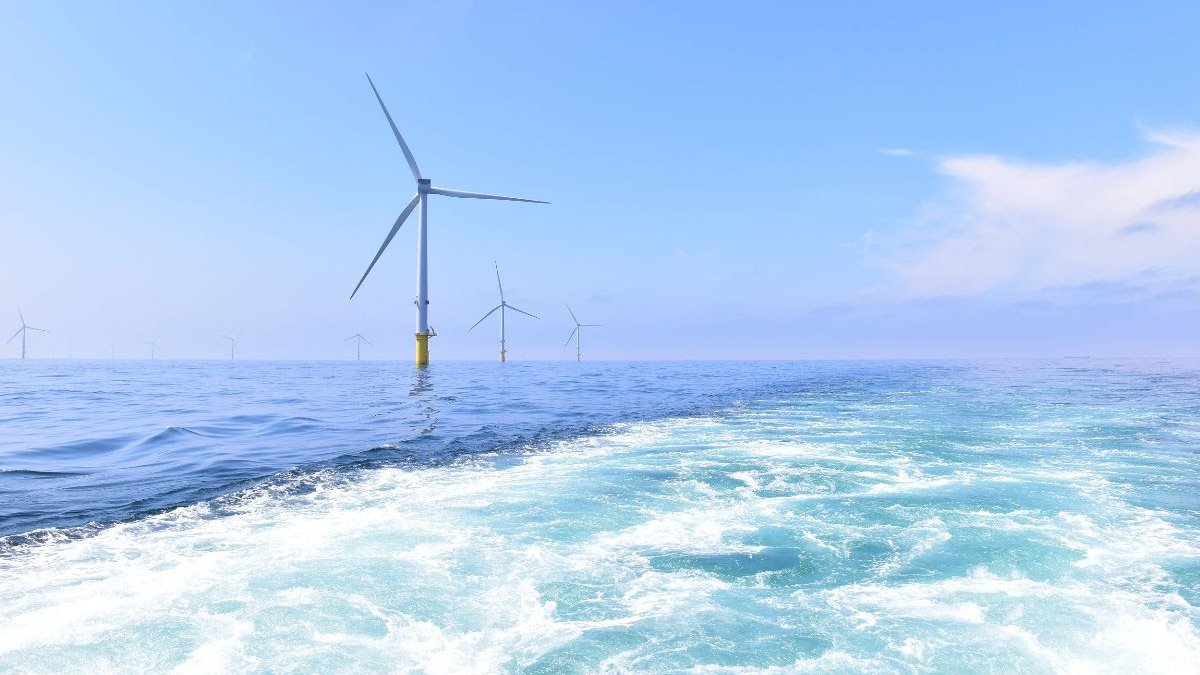Voorkom een botsing tussen natuur en klimaat in de Noordzee