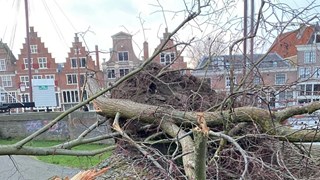 Storm Eunice bomen Baatland