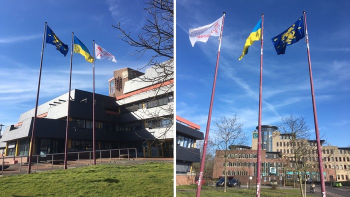 Oekrainse vlag
