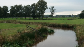 Schoon Westfriesland