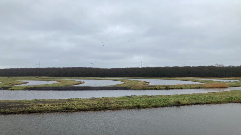 Ruim Baan voor Vissen krijgt vervolg