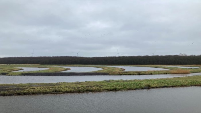 Pb. 09 Ruim Baan voor Vissen vervolg foto2