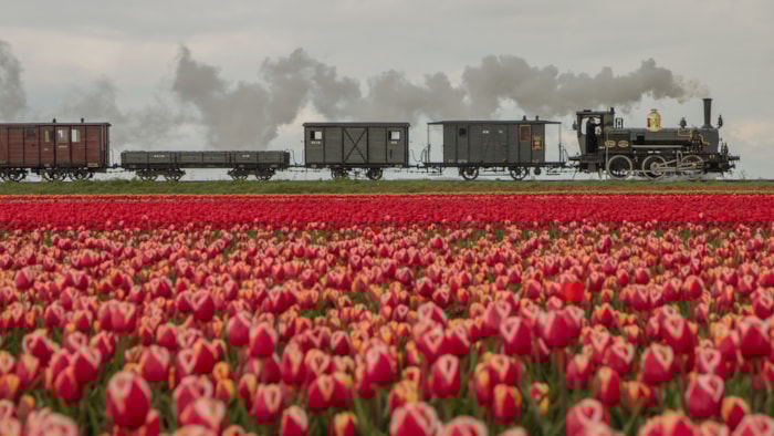 Tijdreis door de tulpen - Foto Gerda Holla
