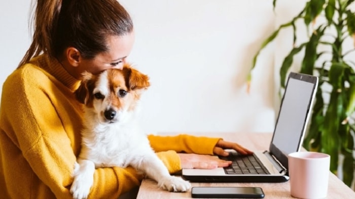 Nieuwe tarieven KPN juli 2022