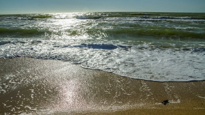 Stijging van de zeespiegel