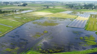 Tijdens de wateroverlast in juni vond veel overtollig water zijn weg naar waterberging Over  t Hek bij Bergen