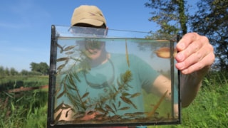 VisKringloop Wieringermeer_1