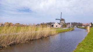 Open molen en gemalendag - molen De Dog