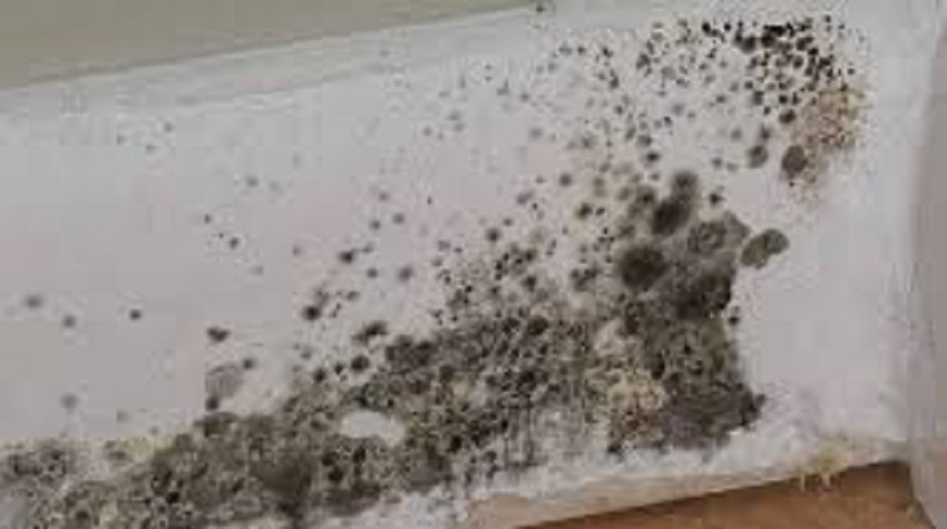 Opnieuw vragen over achterstallig onderhoud woningen Kersenboogerd